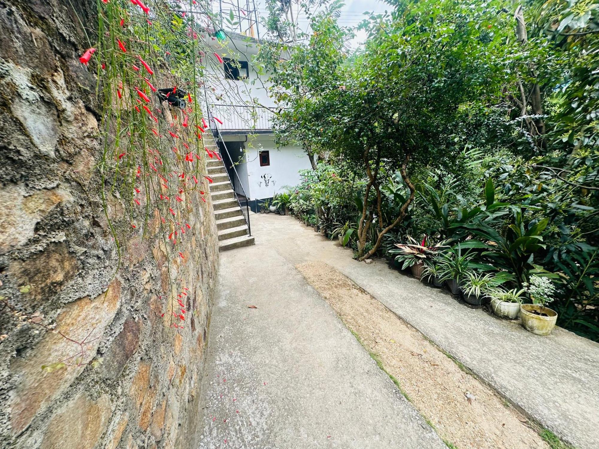 River Splendour Home Stay Ella Exterior foto